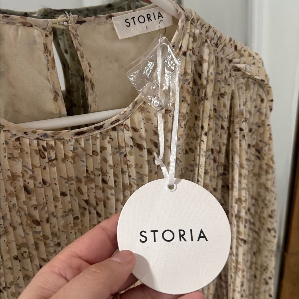 BNWT Storia Pleated Chiffon Tunic Dress - Picture 3 of 4
